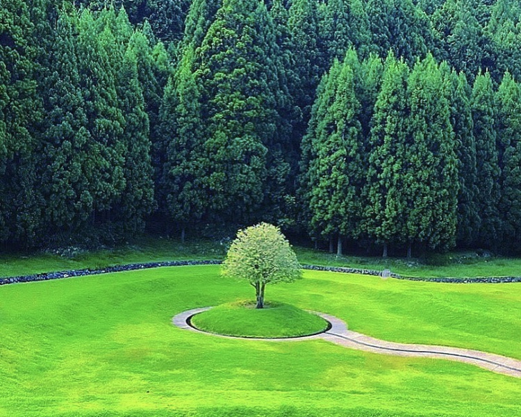 自然の中で感性を磨く、アートに触れる公園３選【全国】のアイキャッチ画像